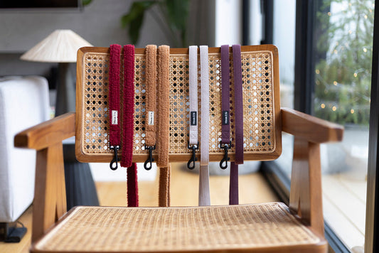 Selection of Teddy and Tweed style leads hanging on the back of a wicker chair