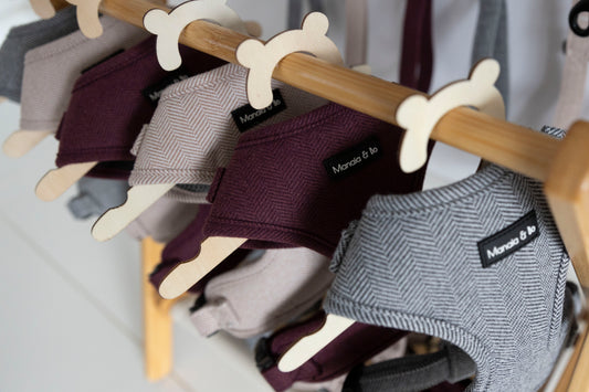 More Harnesses now in!