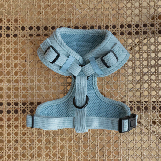 The Aqua Cord Harness, a comfy light blue dog harness with adjustable straps and a metal ring for leash attachment, is displayed on a woven rattan surface. The image shows the reverse of the harness, highlighting the light blue quick drying mesh
