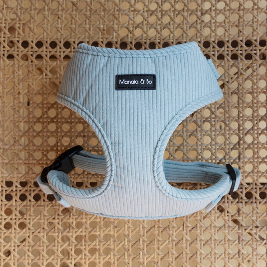 This Aqua Cord adjustable dog harness features black buckles and rests comfortably on a woven rattan surface, showcasing the pinnacle of quality pet accessories.