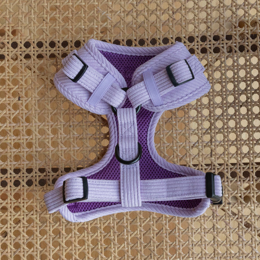The Lavender Cord Harness, a small purple dog harness with padded edges, black buckles, and a D-ring, sits on woven rattan. This adjustable harness offers comfort and style with its breathable mesh design.