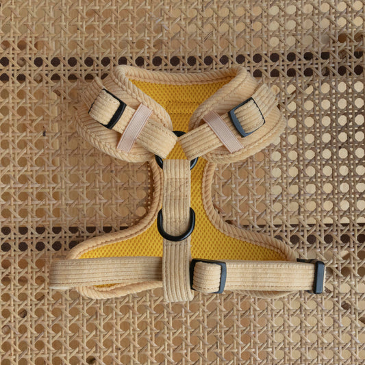 The Mellow Cord Harness, a yellow-beige colour design with black buckles, sits on a woven textured surface. Made from quality materials, it includes breathable mesh which can be seen clearly as the harness is pictured from the back has adjustable straps for a secure fit.