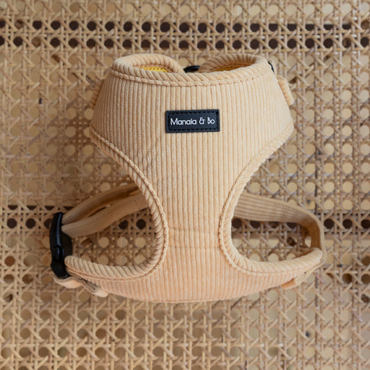 A Mellow Cord Dog Harness lies on a woven rattan surface. This comfortable, adjustable harness with sleek black buckles and straps epitomizes quality pet products.