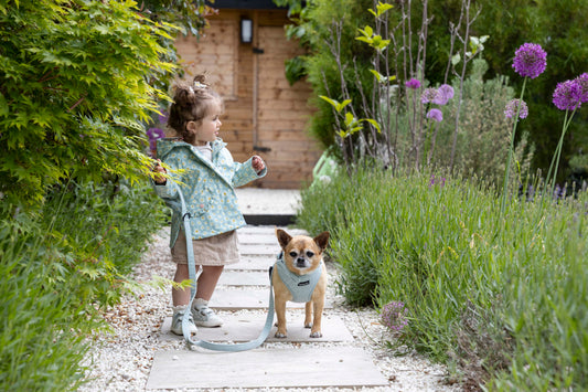 New colours and a new material choice!