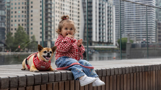 Introducing Our New Houndstooth Collection