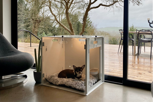 Friends of Manaia & Bo: PetPen.co.uk