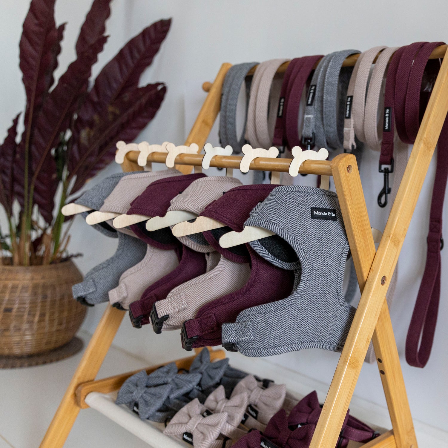 A wooden display rack holds an assortment of stylish dog harnesses and leashes in muted colors like burgundy, gray, and beige. A potted plant with large dark leaves sits nearby, adding a natural touch.