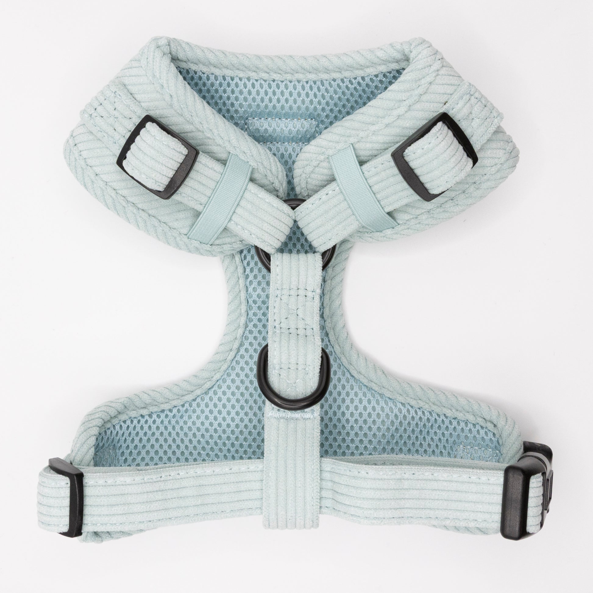 The Aqua Cord Dog Harness, in light blue aqua with mesh fabric, adjustable straps, black plastic buckles, and metal rings, offers a comfortable fit for dogs and is shown on a white background.