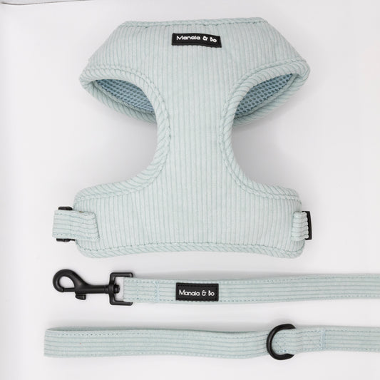 The Aqua Cord Harness & Lead set, in pale blue ribbed fabric with black clasps and Monala & bo tags, is arranged on a white background.
