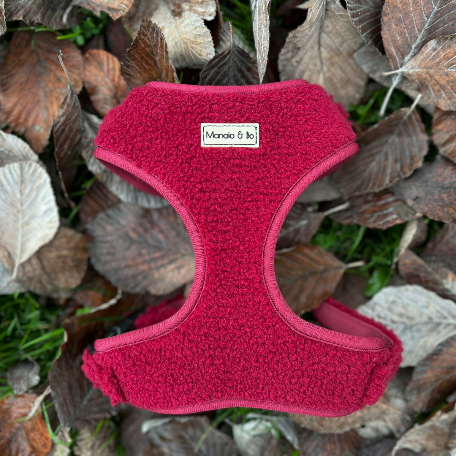 The Bordeaux Teddy Dog Harness, a high-quality red textured harness sits among brown and gray leaves and green grass. This adjustable harness ensures your pets ultimate comfort while exploring the outdoors.