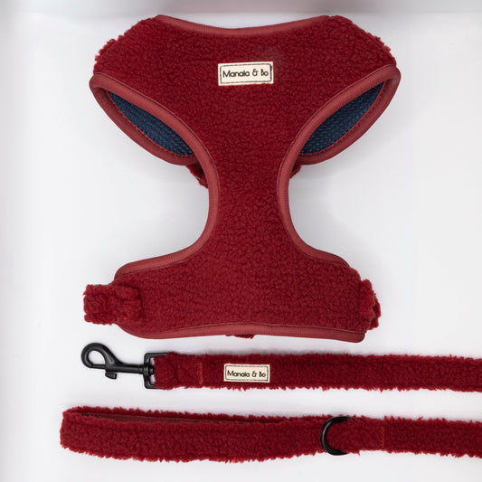 The Bordeaux Teddy Harness & Lead set, labeled Manola & Io, includes a red fleece-textured adjustable harness with soft padding and a matching lead finished with a black metal clip, displayed on a white background.