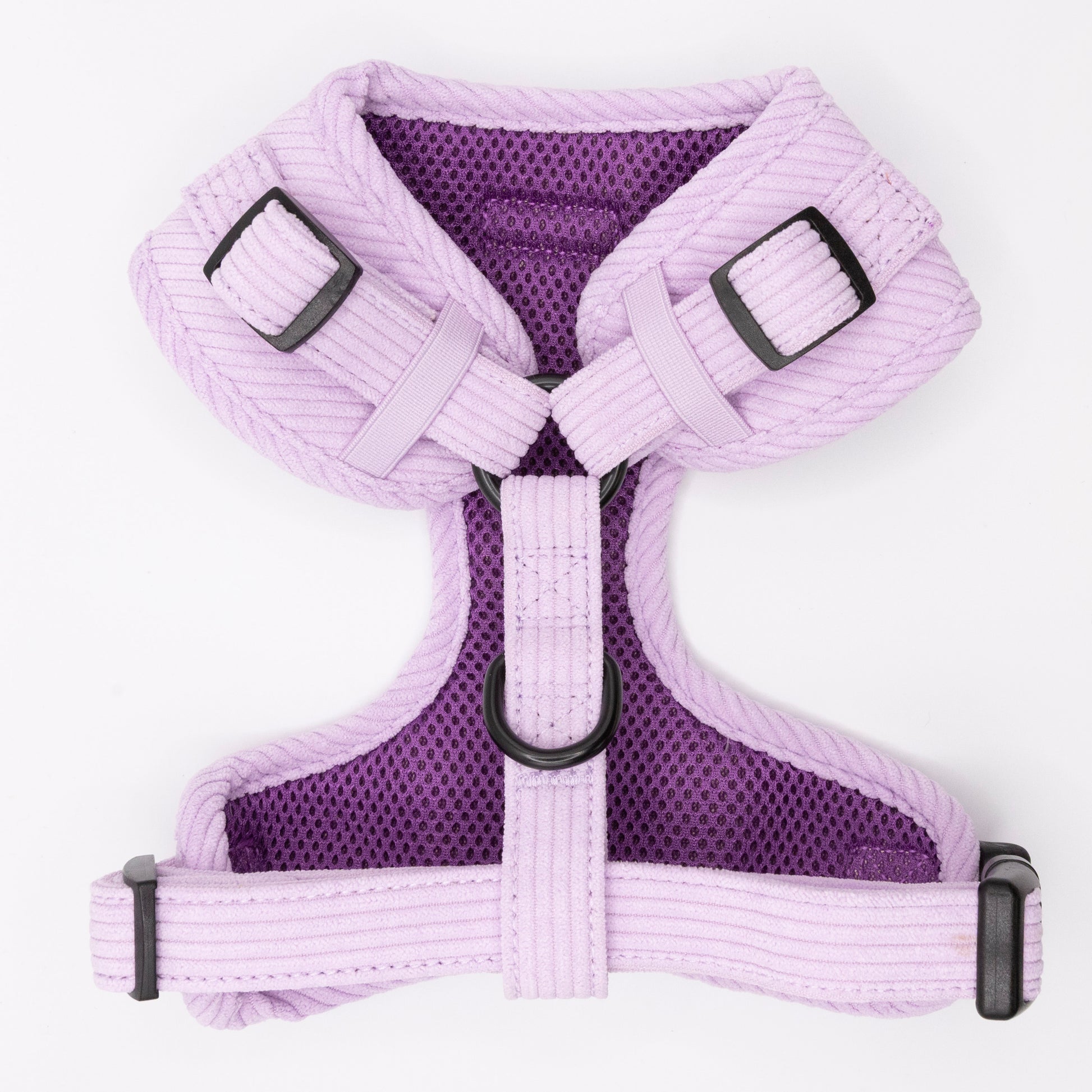 The Lavender Cord Harness & Lead features padded, adjustable lavender straps, black buckles, and a metal D-ring on the back. Shown against a white background, it pairs perfectly with your favorite pastel purple dog leash.