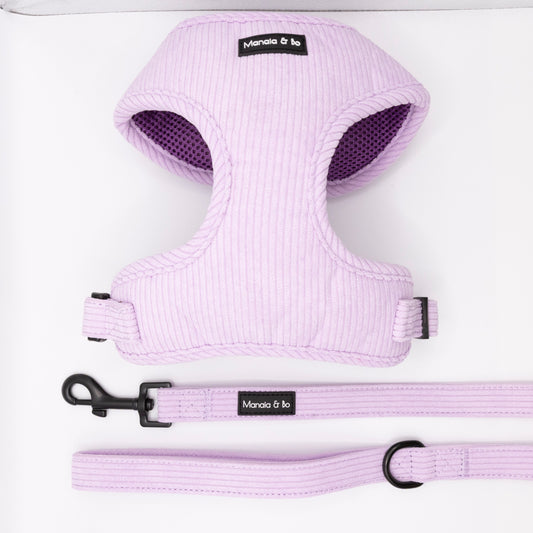 The Lavender Cord Harness & Lead, featuring soft corduroy fabric, black plastic hardware, and a Monala & bo label, is shown in pastel purple on a white background.