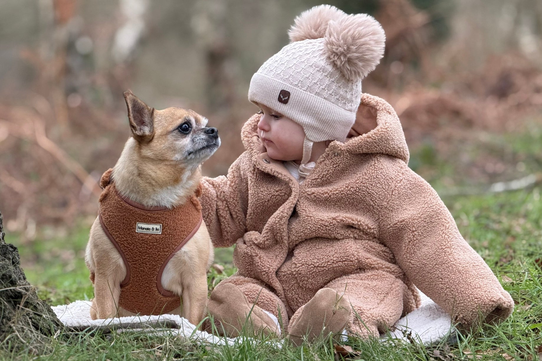 Manaia and Bo sat next to each other on grass in a forest. Manaia has her arm around Bo and he is wearing a Caramel Harness. They are looking towards each other