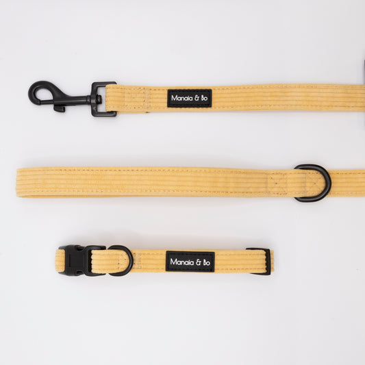 The Mellow Cord Collar & Lead is a matching yellow dog set with ribbed fabric, adjustable collar, black plastic buckles, and metal rings—both featuring the Mania & bo label—shown against a white background.