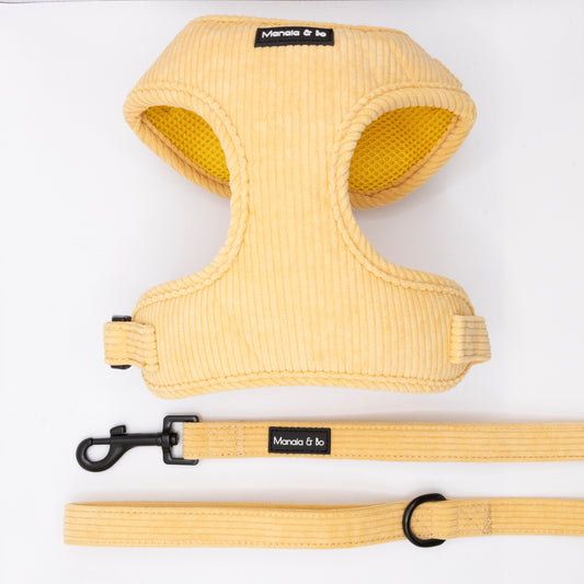 The Mellow Cord Harness & Lead set in yellow is displayed on a white background. Both pieces have black labels with white Moncia & bo text, and the adjustable harness offers a comfortable fit for your dog.