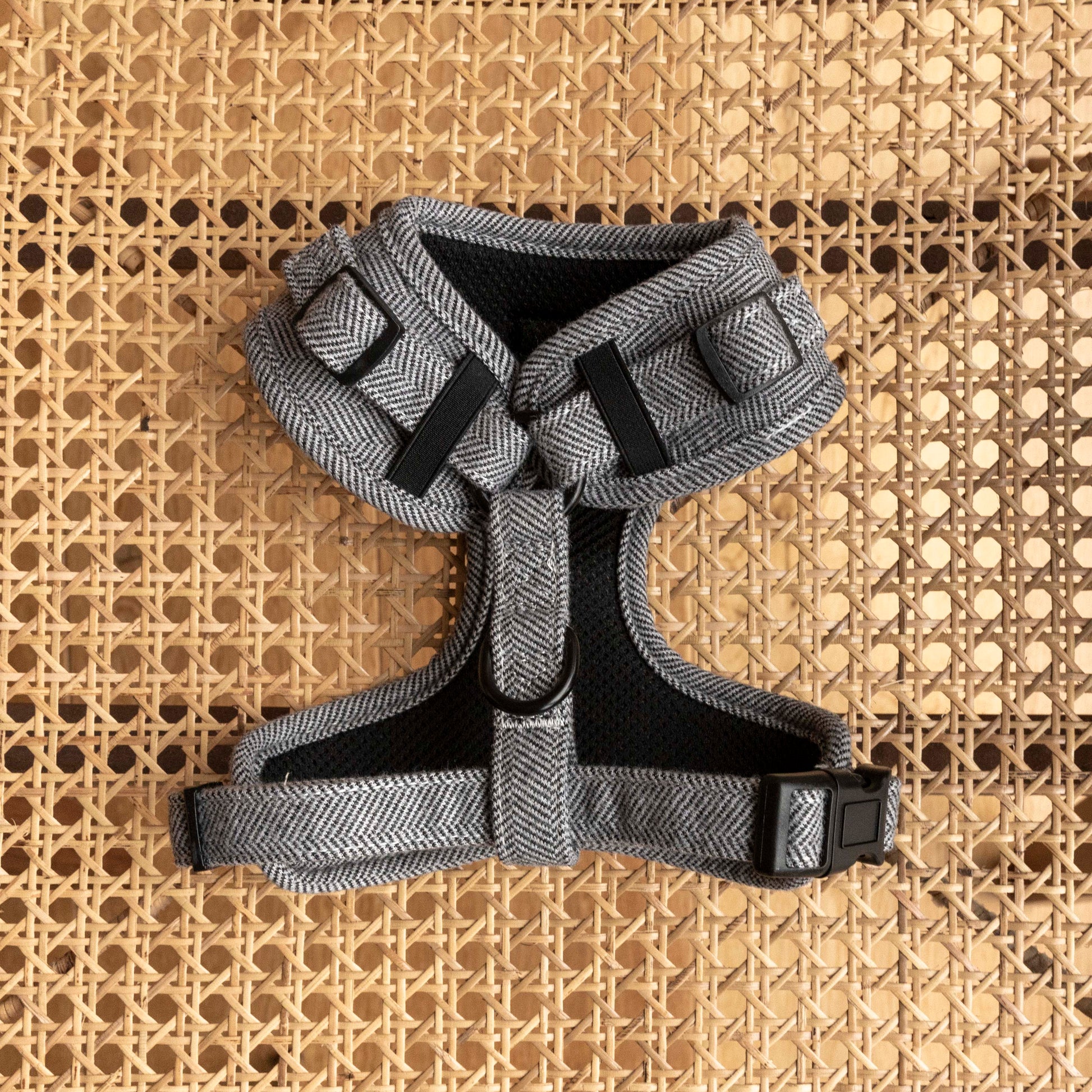 The Monochrome Tweed Harness, Lead & Collar features a comfortable gray and black adjustable design with a herringbone pattern and sturdy clasps. It rests stylishly on a woven rattan surface, offering both style and security for your pet.