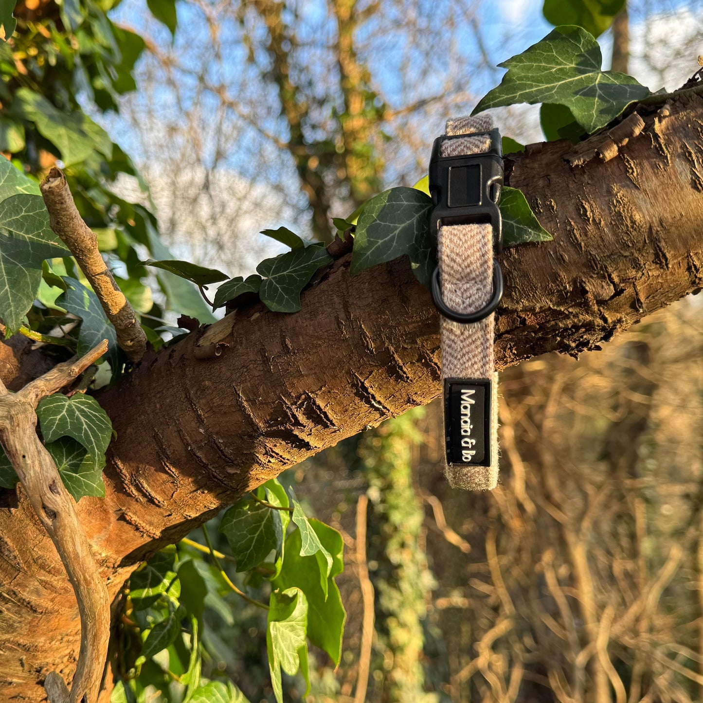 The Nougat Tweed Collar in light brown and black, crafted from quality materials, hangs from a tree branch amidst green ivy. Sunlight illuminates the scene, highlighting the barks texture and the collars durable fabric.