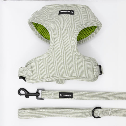 The Pine Tweed Harness & Lead features a light gray tweed dog harness with black buckle, green mesh lining, and a matching leash—both labeled Moncia & bo. The adjustable set is shown on a white background.