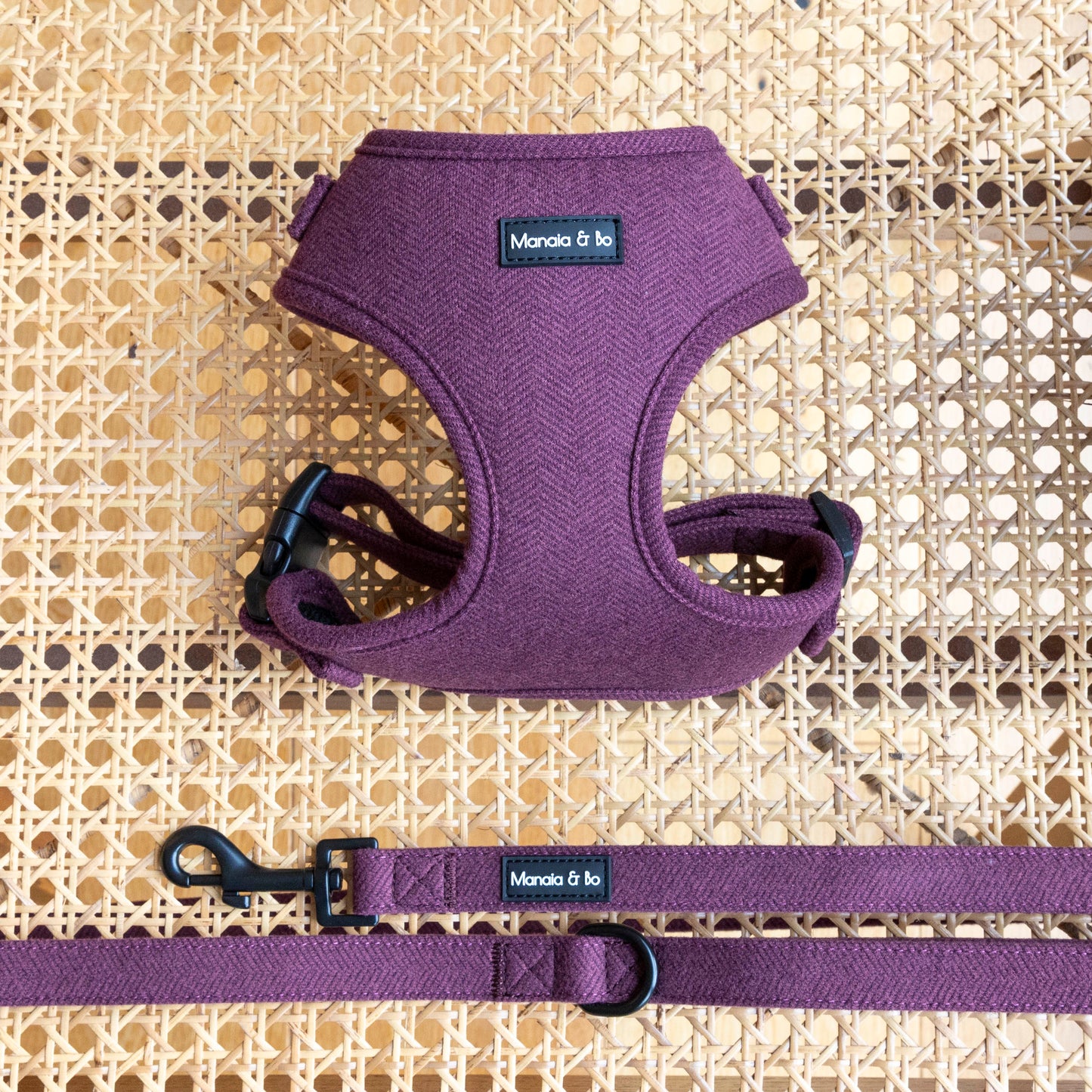 A Wild Plum dog harness and leash set is displayed on a woven rattan surface. Both have black labels with white text. The harness features curved, ergonomic design elements and black clasps, while the leash has a sturdy black metal clip.