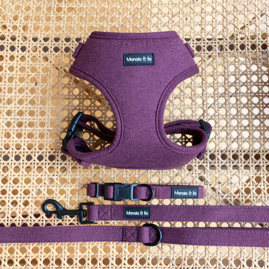 A Wild Plum Tweed Harness, Lead & Collar set, crafted for pets, is displayed on a woven rattan chair. Featuring black hardware and elegant styling, it offers an adjustable design ensuring maximum comfort.